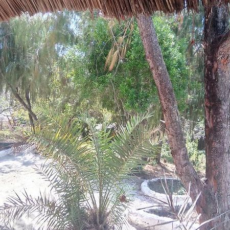 Twisted Palms Lodge & Restaurant 布韦朱 外观 照片