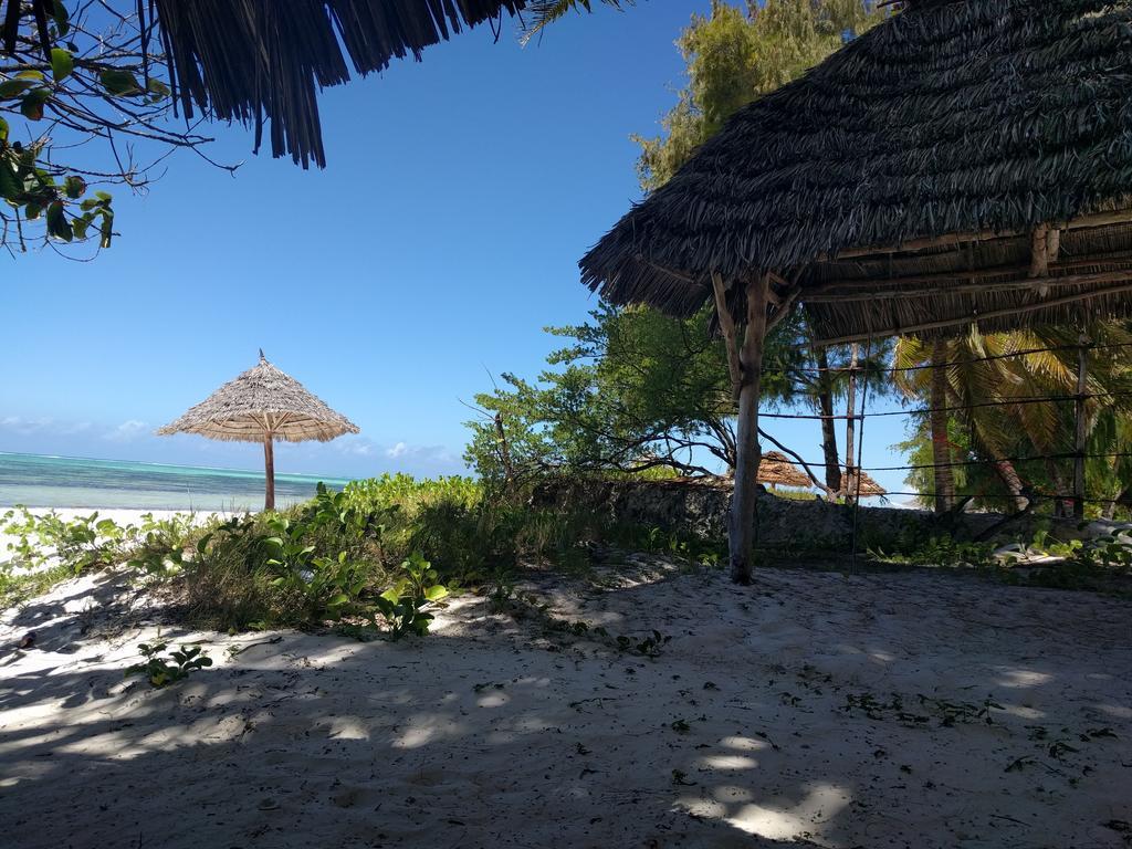 Twisted Palms Lodge & Restaurant 布韦朱 外观 照片