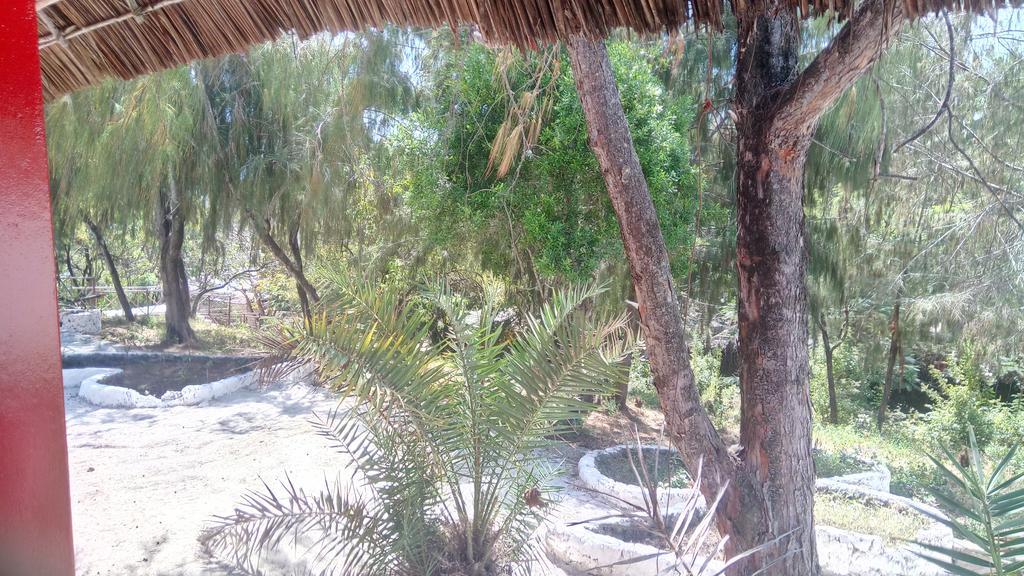 Twisted Palms Lodge & Restaurant 布韦朱 外观 照片